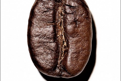 Фотопост: Крепкий кофе от Клинта Блауэрса
