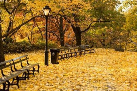 Осень в Централ Парк