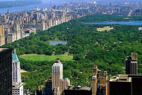 Централ Парк. Зеленый оазис посреди Манхэттена