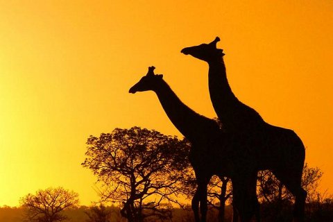 Прекрасные фотографии Африки 