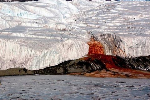 Секрет Кровавого водопада в Антарктике