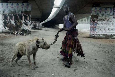 Домашние животные африканцев