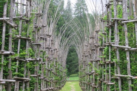 Собор из растущих деревьев в Бергамо