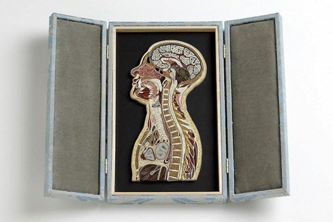 Бумажная анатомия от Лизы Нельсон