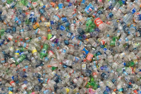 20 интересных фактов о пластике