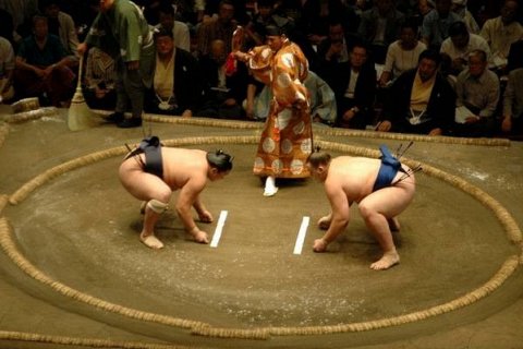 Боевое искусство - сумо