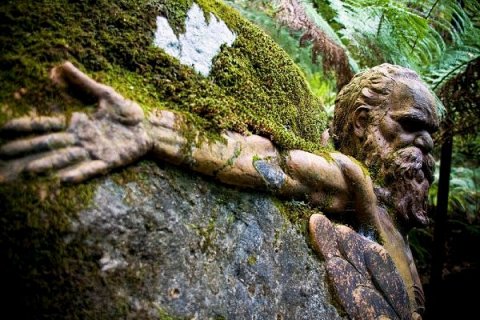Скульптуры тропического леса Олинды