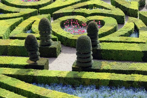 Сад Любви в замке Вилландри. Один из самых романтических садов во Франции