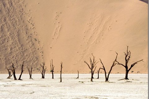 Самая древняя пустыня Намиб и котловина Дэд-Влей
