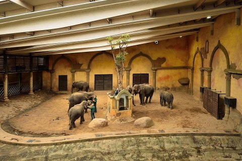 Зоопарк Хагенбека. Один из лучших в Европе