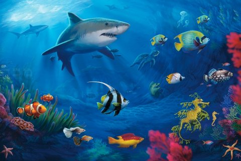 Семь чудес подводного мира