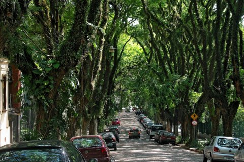 Руа-Гонсалу-де-Карвальо. Самая красивая улица в мире