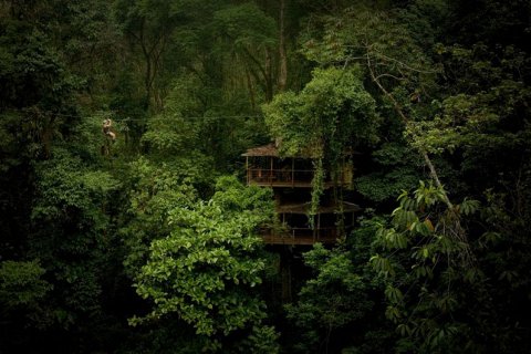 Община Finca Bellavista в Коста-Рике