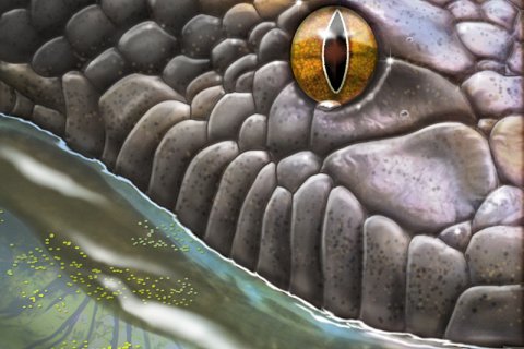 Титанобоа: Змея Монстр