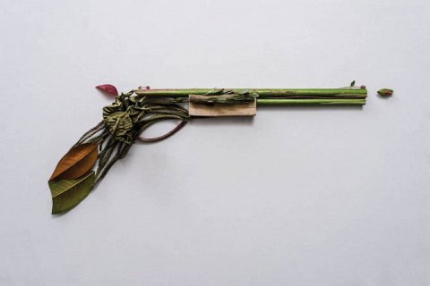 Искусство оружия из растений