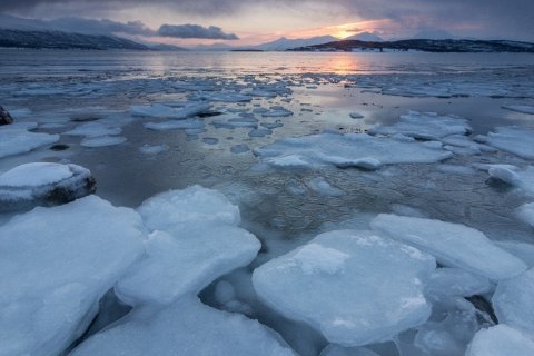 Блинчатый лед: необычные формирования