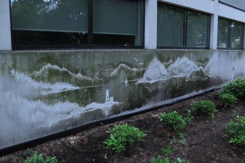 Обратное граффити: мытье стен ради искусства