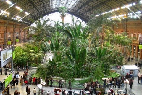 Бывший железнодорожный вокзал Аточа в Мадриде превратился в тропический сад