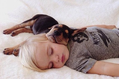Восхитительные фотографии ребенка и щенка