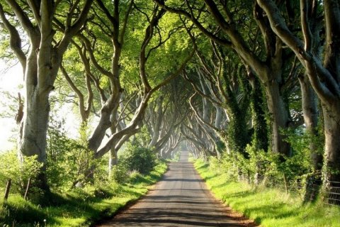 Дорога Темный Хеджес. Реальные фэнтези Ирландии