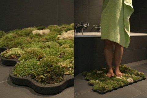 Живой коврик для ванной комнаты