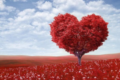 24 интересных факта о сердце