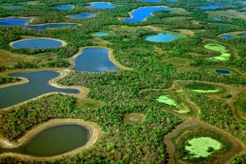 Пантанал - самое большое болото в мире