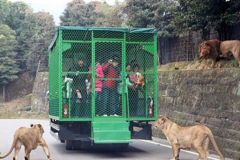Китайский зоопарк и посетители в клетках