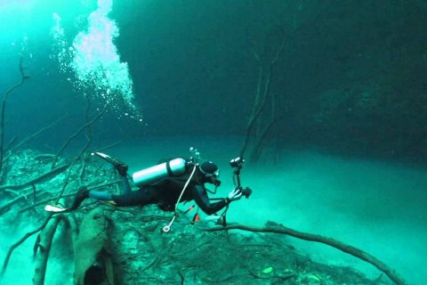 Сенот Анжелита. Мистическая подводная река в Мексике