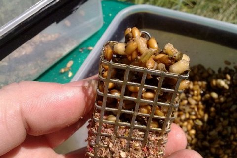 Рецепты прикормки для фидера 