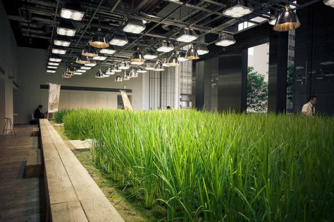 Экологический офис-сад в Токио
