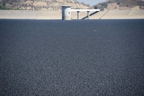 Водохранилище Лос-Анджелеса покрыли миллионами черных шаров