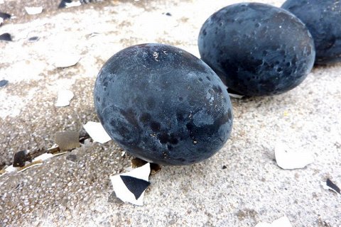 Черные Яйца Овакудани