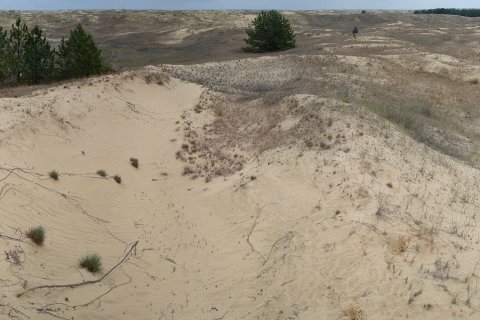 Алешковские пески - самая большая пустыня Европы
