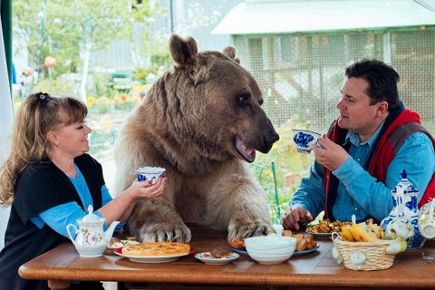 Российская семья живет вместе с медведем 23 года
