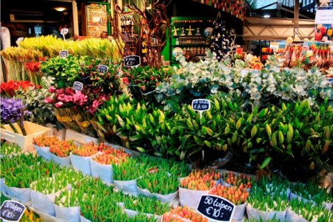 Цветочный рынок Амстердама Блуменмаркт