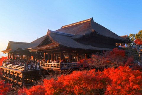 Самые популярные достопримечательности Киото