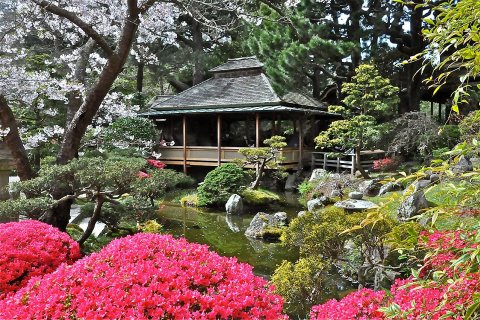 Японский Чайный Сад в парке Золотые Ворота