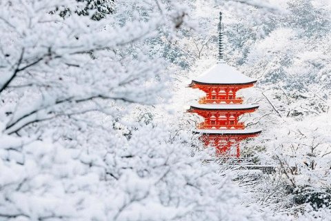 Снегопад превратил Киото в зимнюю страну чудес