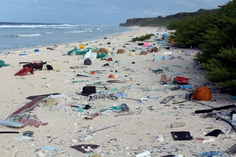 Остров Хендерсон: самый загрязненный необитаемый остров в мире