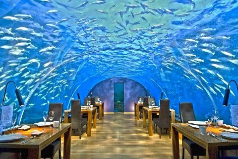 Подводный ресторан Ithaa на Мальдивах