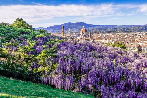 Сад Бардини во Флоренции