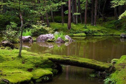 Сад Мхов Сайкодзи в Киото
