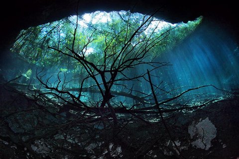 Ценот Анхелита - подводная река Юкатана
