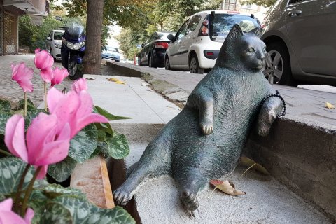 Памятник Кошке Томбили в Стамбуле