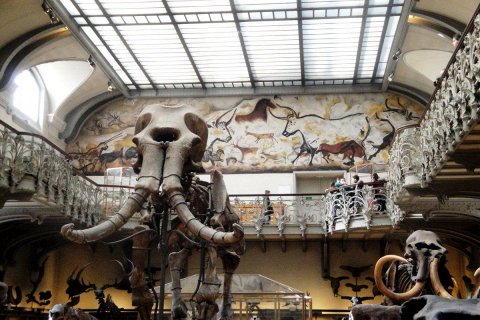 Галерея Палеонтологии в Париже