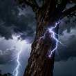Молнии убивают миллионы деревьев каждый год