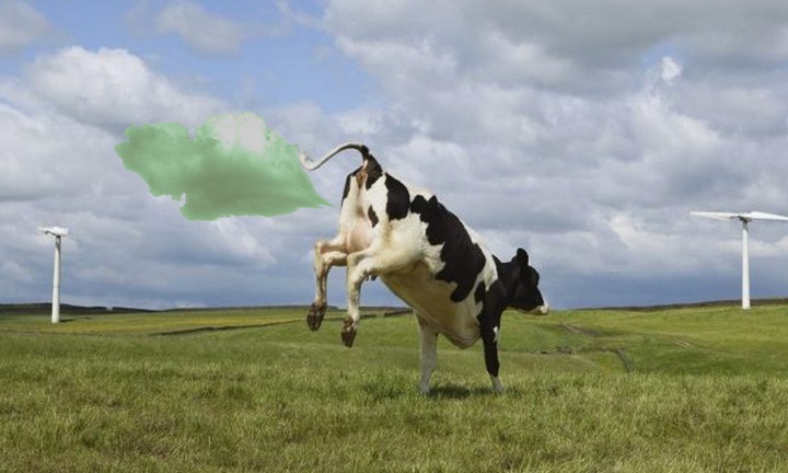Бургер Кинг научит коров выделять меньше метана