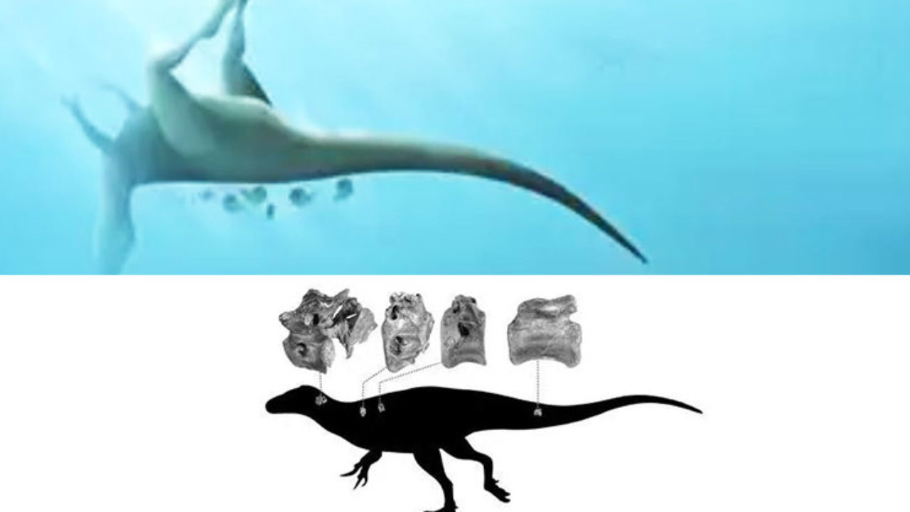 Недавно обнаруженный динозавр был родственником Ти-Рекса