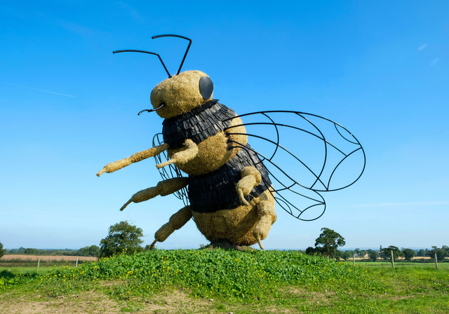 Почему пчелы жужжат?